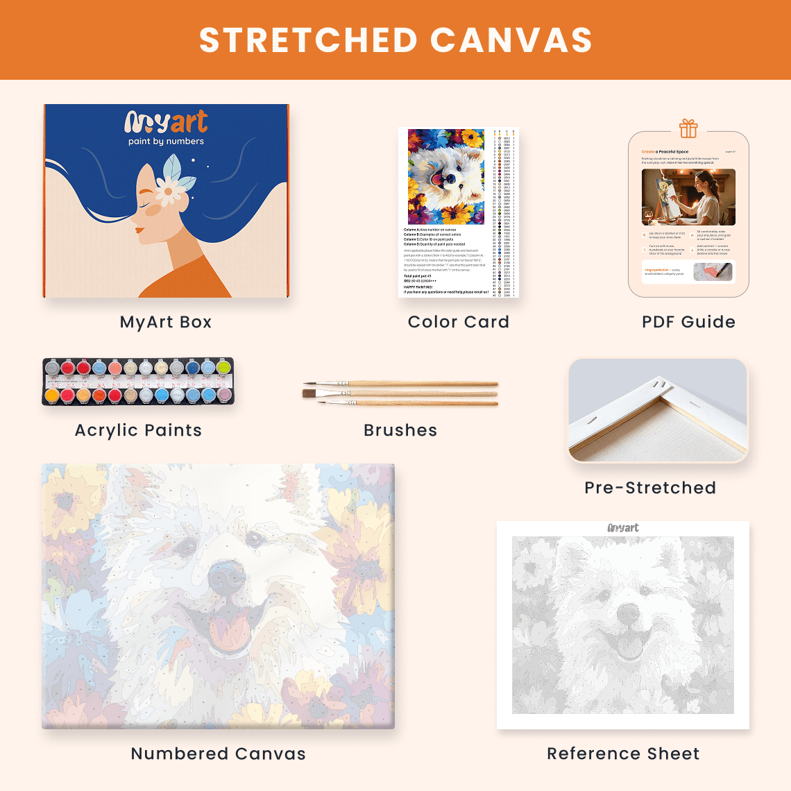 Paint by numbers - Smiling Pup - MyArt