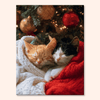 Snuggle Cats