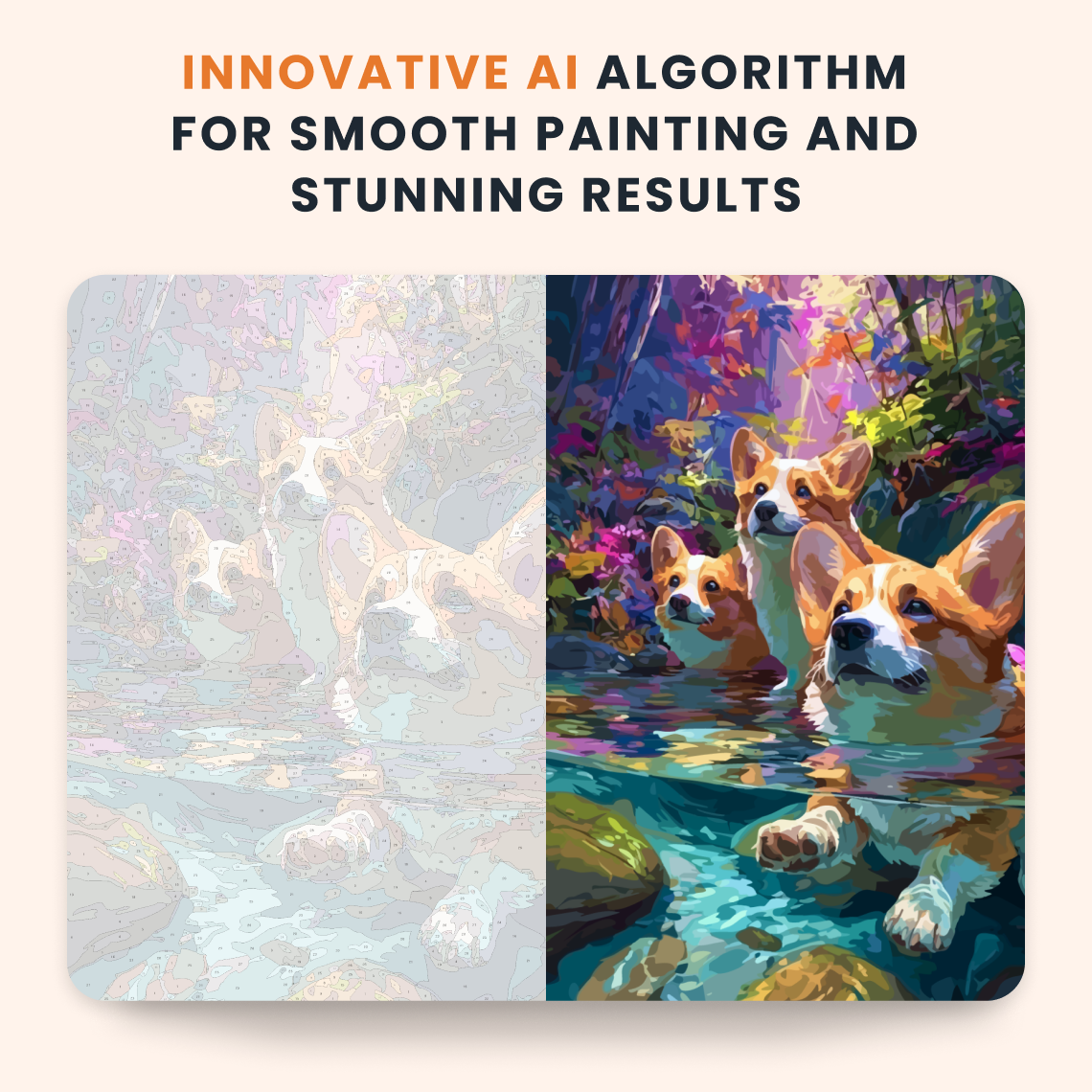 Splash Corgi