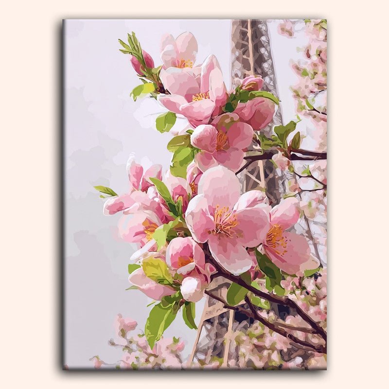 Paint by numbers - Spring Blossom - MyArt