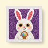 Starry Rabbit