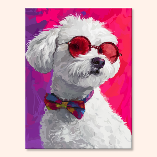 Stylish Maltese