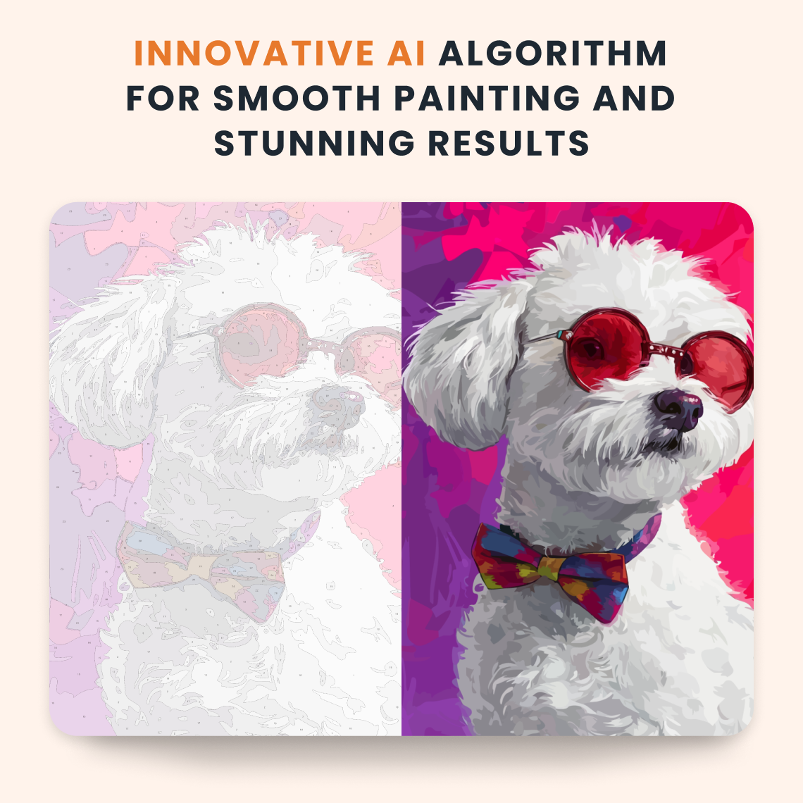 Stylish Maltese