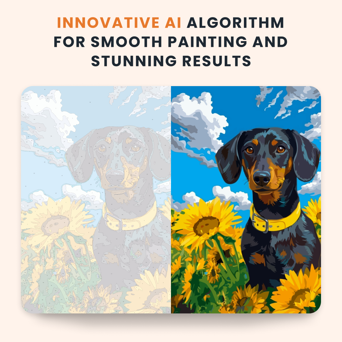 Sunflower Dachshund