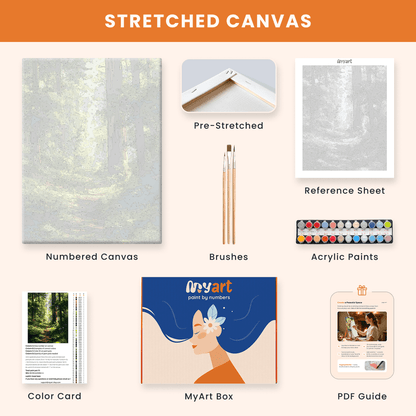 Paint by numbers - Sunlit Forest - MyArt