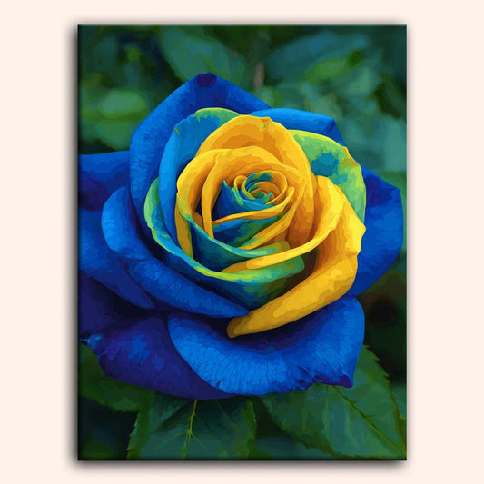 Paint by numbers - Sunrise Rose - MyArt