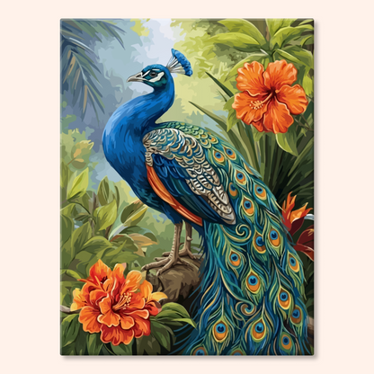 Sunrise Peacock