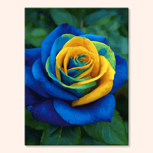 Paint by numbers - Sunrise Rose - MyArt