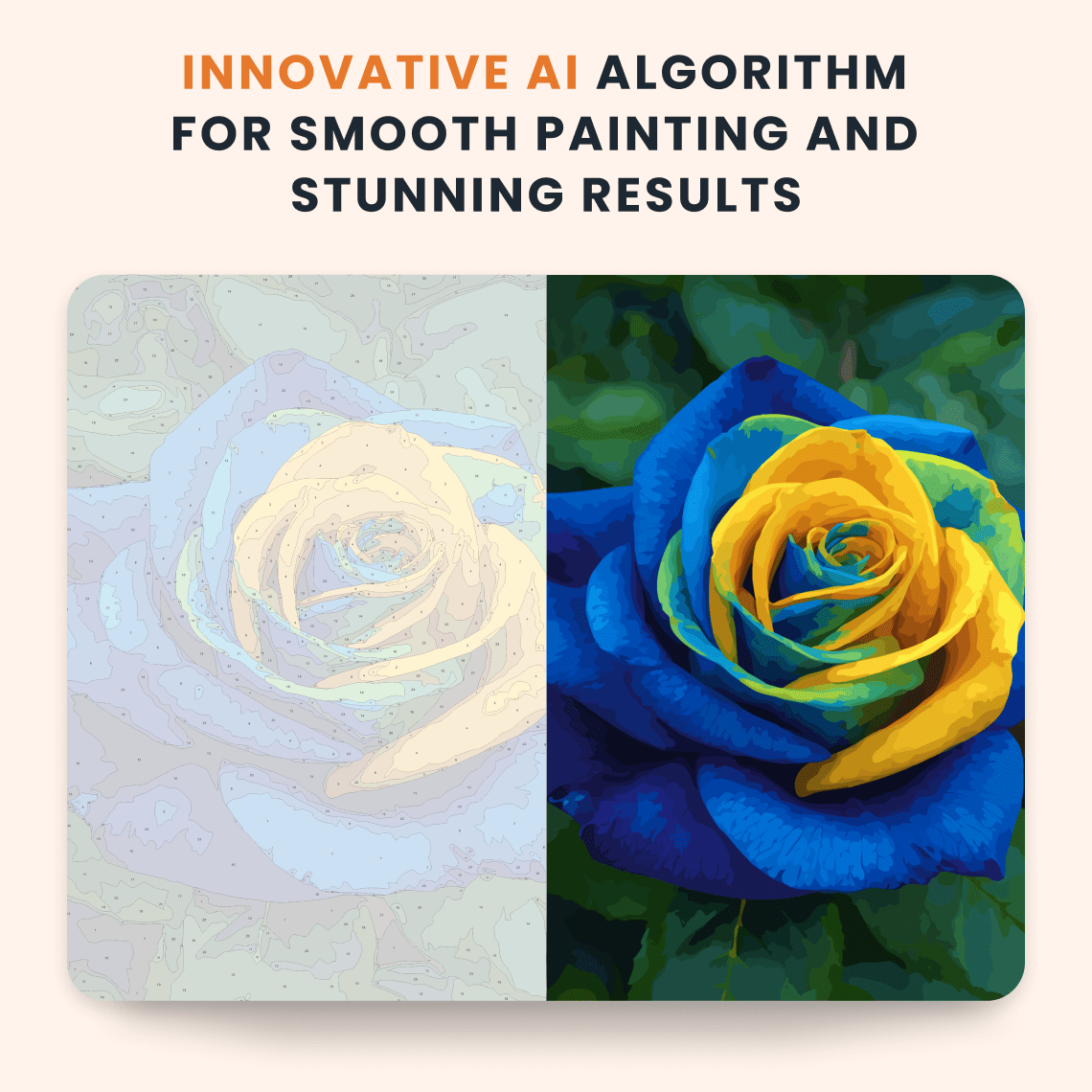 Paint by numbers - Sunrise Rose - MyArt