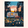 Sunset Meadow