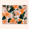 Tangerine Whisper
