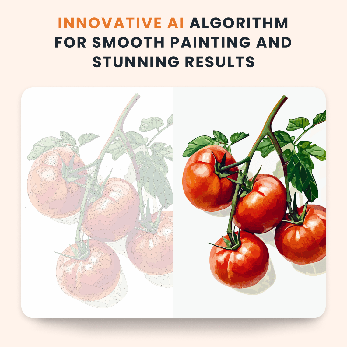 Paint by numbers - Tomato Bliss - MyArt