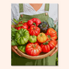 Tomato Bowl