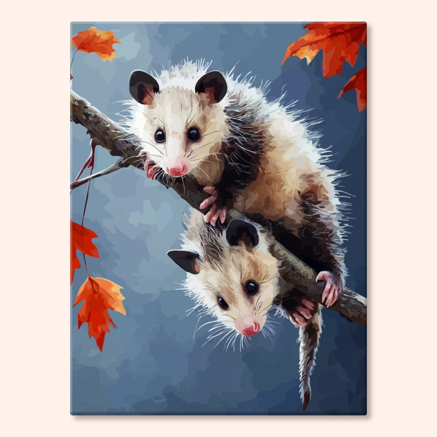 Tree Opossums