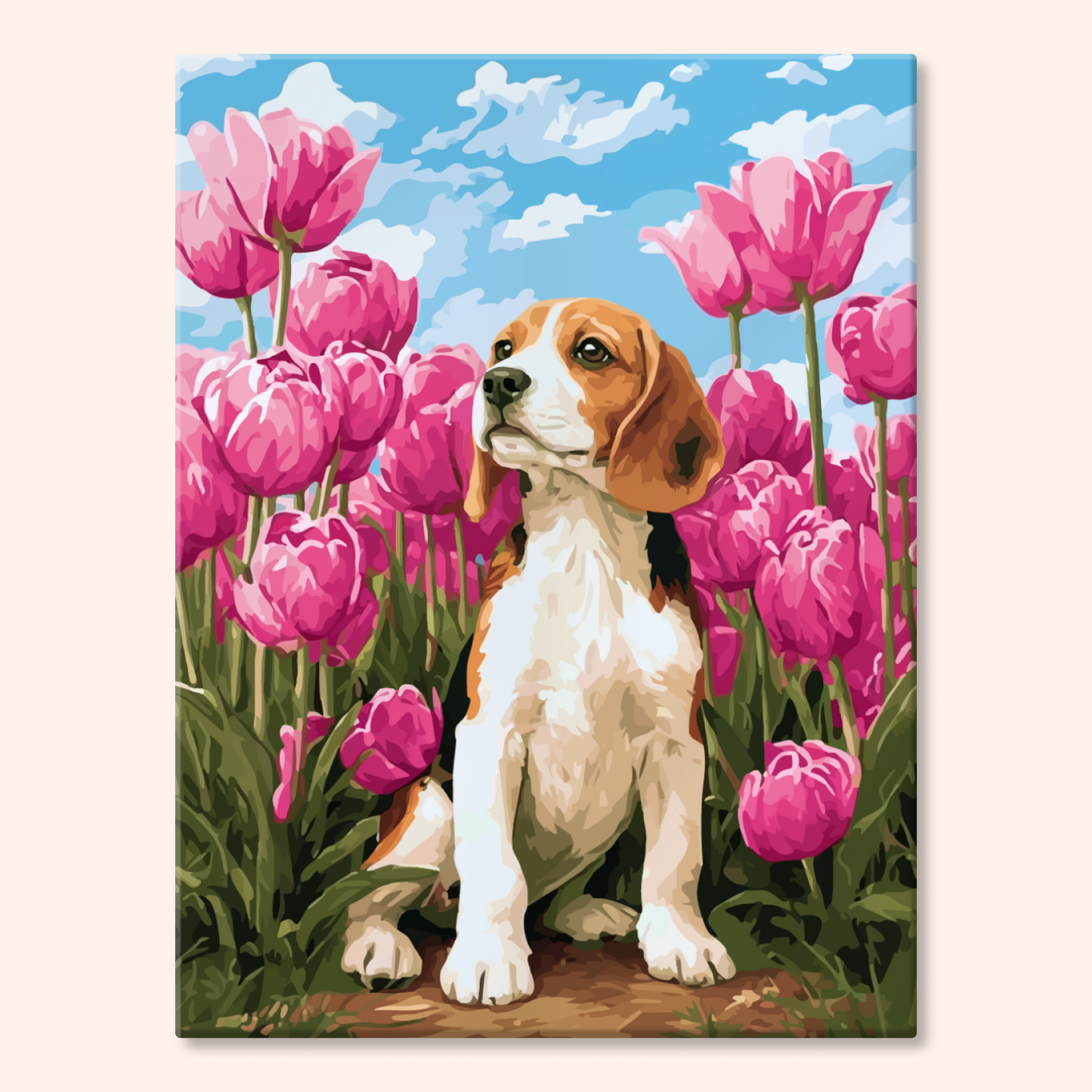 Tulip Beagle