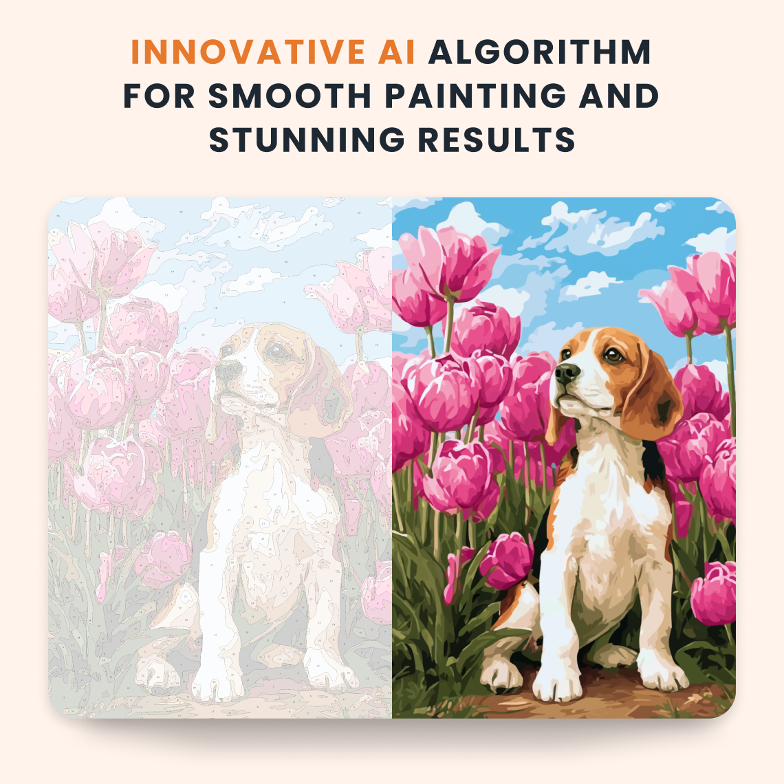 Tulip Beagle