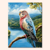Valley Bluebird