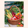 Vegetable Basket