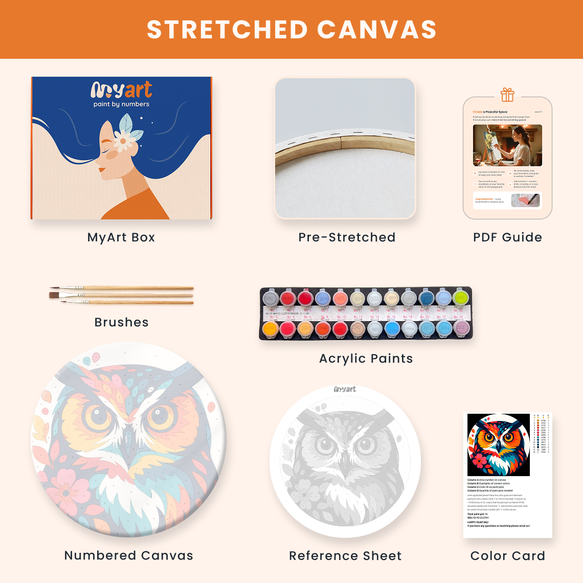 Paint by numbers - Vivid Owl - MyArt