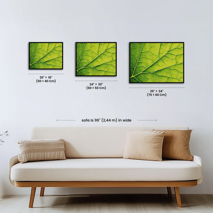 Paint by numbers - Nature - s - Geometry - MyArt