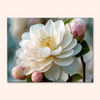 Whispering Petals