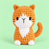Honey Tabby: a honey-coloured cat with a white chest and a curled tail