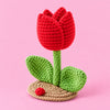 Ruby Tulip: a red tulip with green leaves on a small base