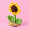 Sunflower Daydream: a golden sunflower with green leaves on a small base