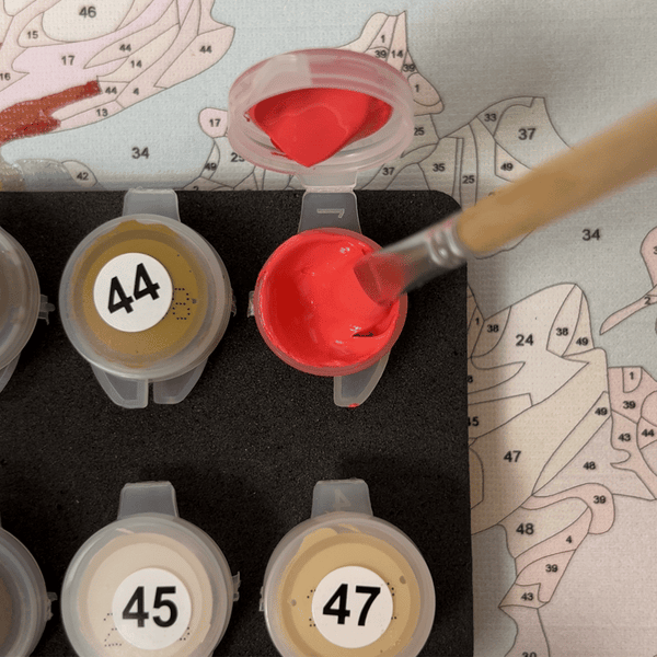 Premium acrylic paint set